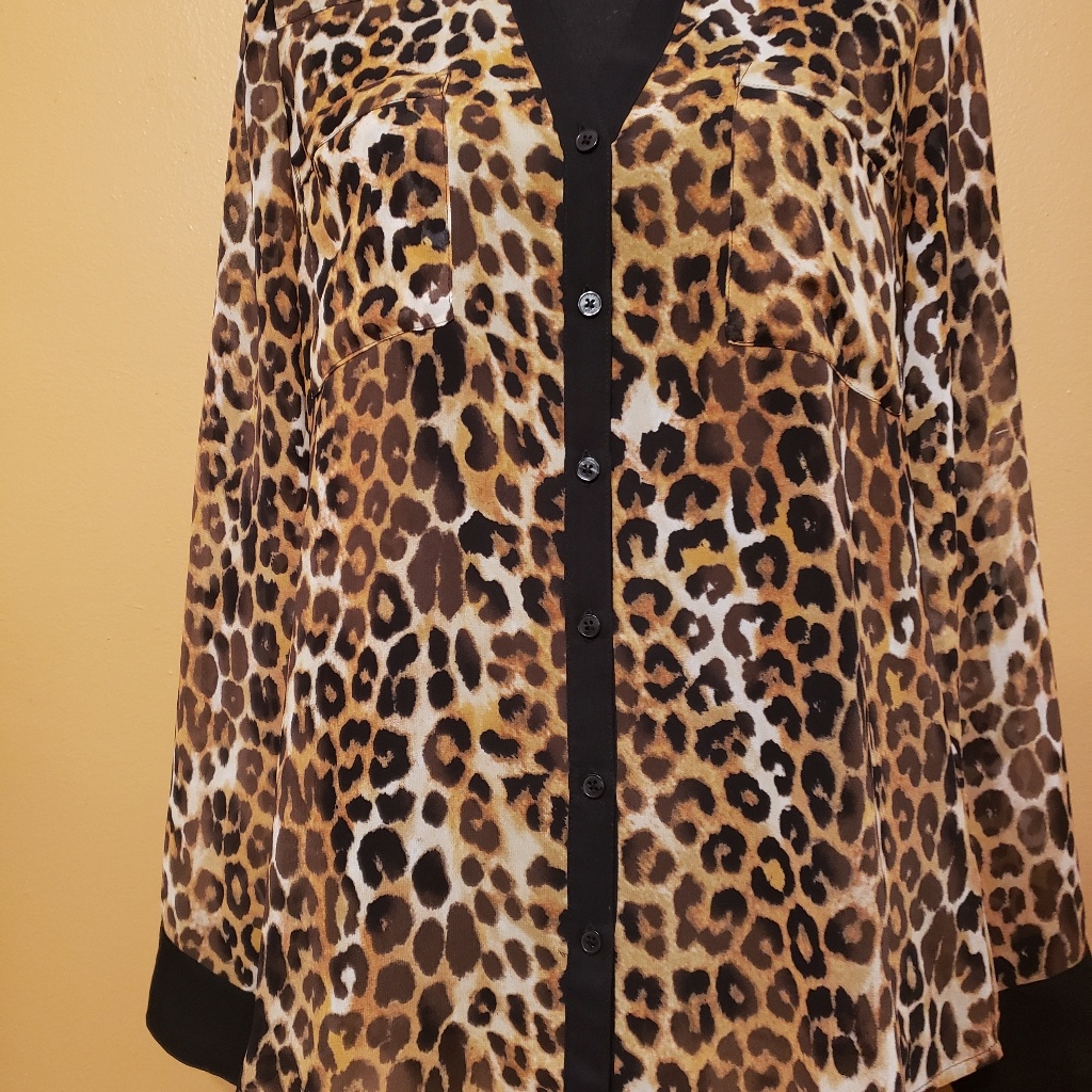 A Button-Up Shirt